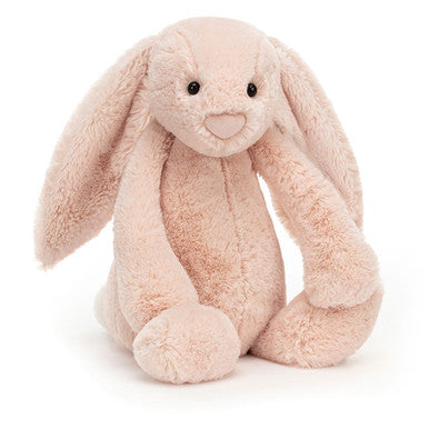 Lapin timide et blush