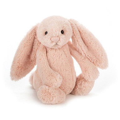 Lapin timide et blush