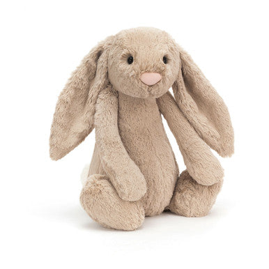 Lapin beige timide