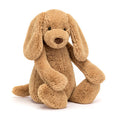 Chiot timide au caramel