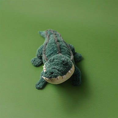 Alligator Alexi
