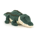 Alligator Alexi