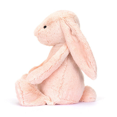 Lapin timide et blush