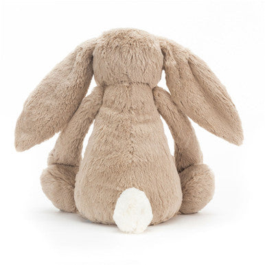 Lapin beige timide