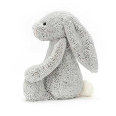 Lapin argenté timide