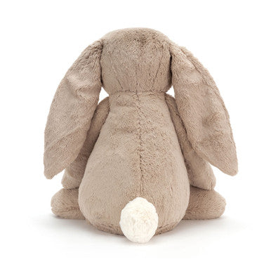 Lapin beige timide