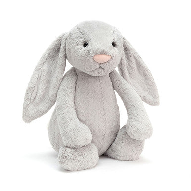 Lapin argenté timide