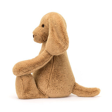 Chiot timide au caramel