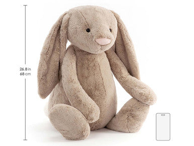 Lapin beige timide
