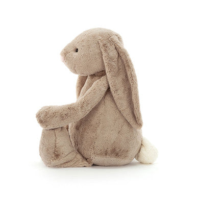 Lapin beige timide