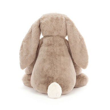 Lapin beige timide