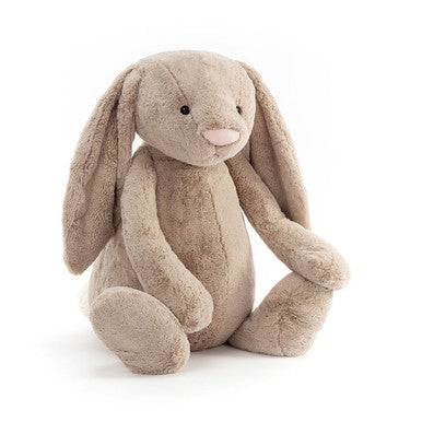 Lapin beige timide