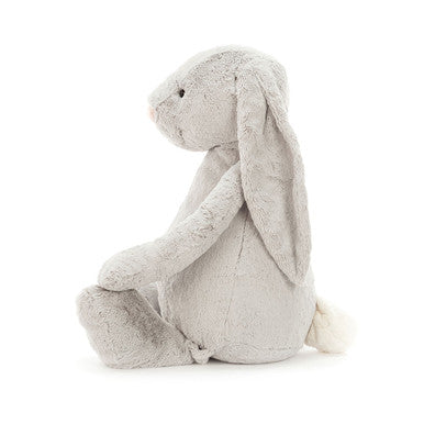 Lapin argenté timide