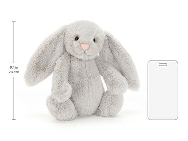 Lapin argenté timide
