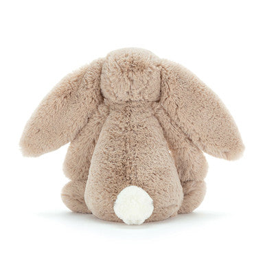 Lapin beige timide