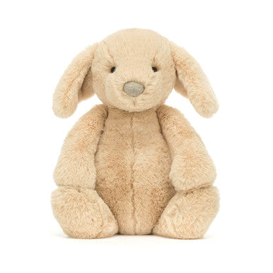 Timide Luxe Chiot Orlando