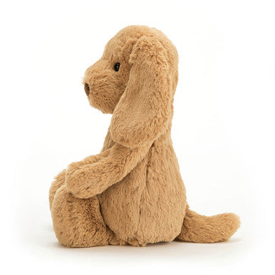 Chiot timide au caramel