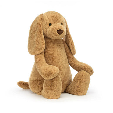 Chiot timide au caramel