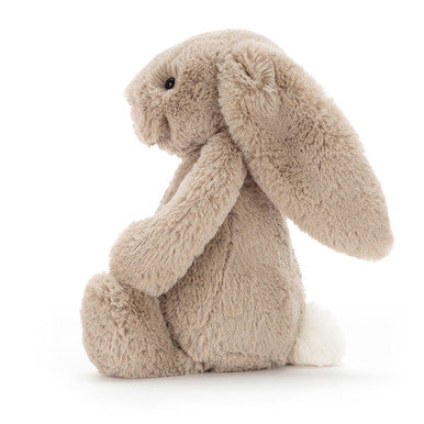 Lapin beige timide