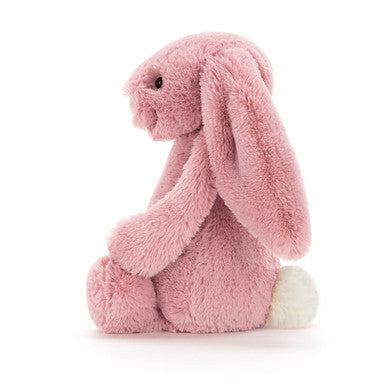 Lapin rose tulipe timide