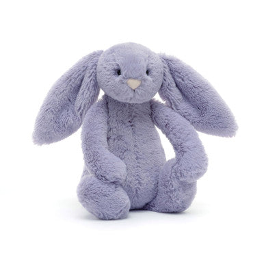 Lapin alto timide