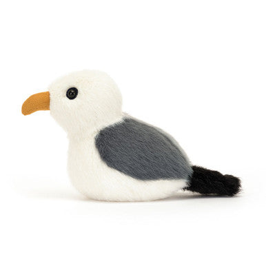 Mouette oiseau