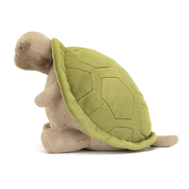 Timmy Tortue