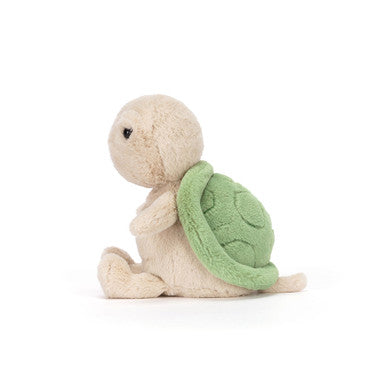 Tortue à dé à coudre